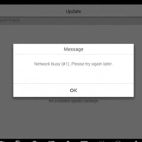 autel network busy issue