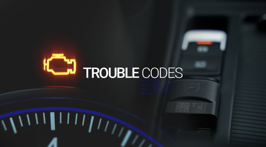 The appearance of the malfunction indicator light means that there is a trouble code in the ECU.