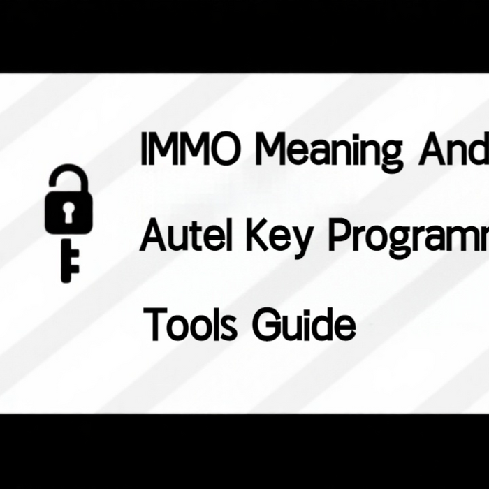 IMMO Meaning and Autel Key Programming Tools Guide