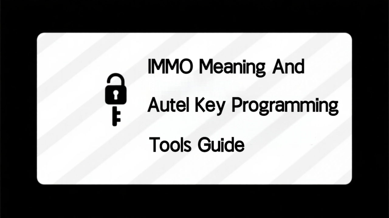 IMMO Meaning and Autel Key Programming Tools Guide